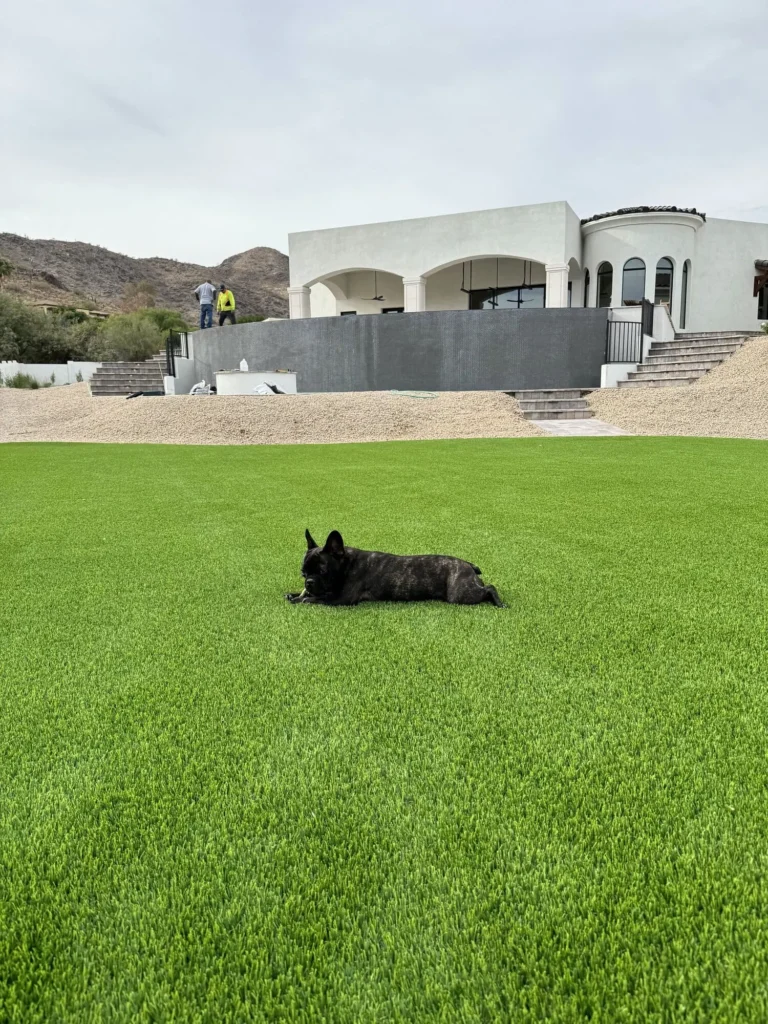 A small black dog relaxes on pet turf, stretched out on a lush green lawn in front of a large, modern white house. The scene is set against a backdrop of majestic mountains and a cloudy sky, with two people standing near the house.