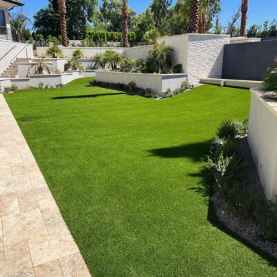 A modern backyard in Chandler showcases a lush lawn of artificial grass from Apex Turf, with landscaped plants and trees, surrounded by stone pathways and white walls. Steps lead to a raised area with palm trees under a clear blue sky.