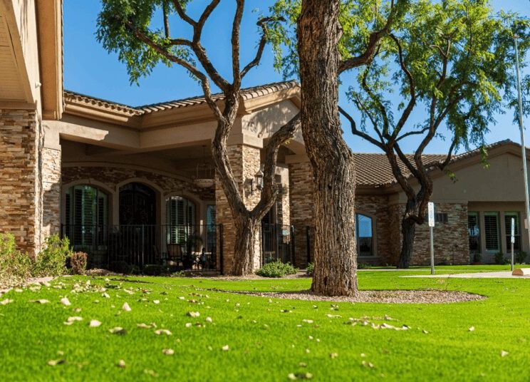 A low angle photo showing the realistic detail of an artificial grass install that Apex Turf did in Chandler. This is in a front yard of a residential home in the Ocotillo neighborhood.
