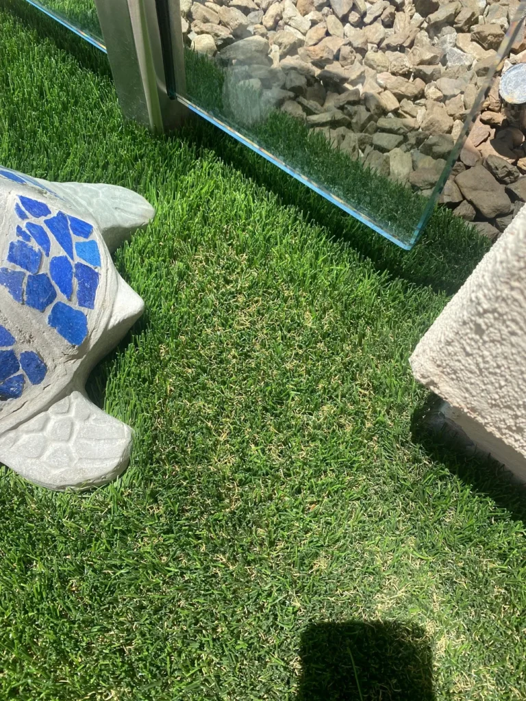 A small concrete turtle with blue markings is on green grass near a glass panel. A shadow of the photographer is visible at the bottom. Rocks are scattered behind the glass panel.