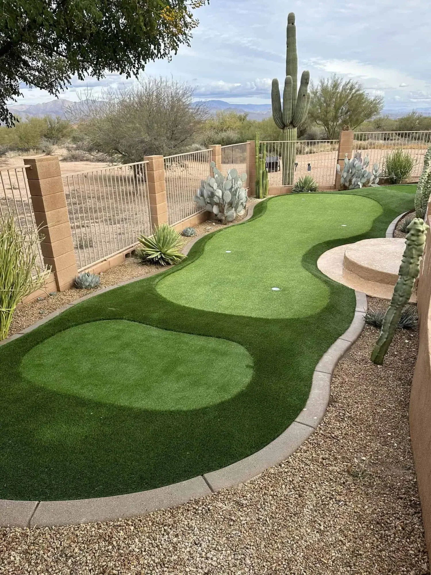A backyard desert landscape designed by Chandler's Putting Green Experts showcases a small synthetic putting green with two holes, bordered by stone paving. Cacti, diverse desert flora, and a stately saguaro surround the area. The yard is fenced in, offering views of the vast desert beyond.