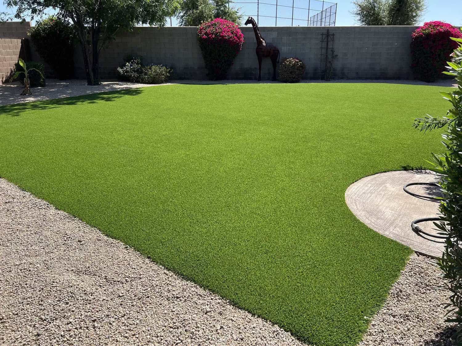 a large artificial grass lawn in a backyard in Tucson. The grass appears to be one piece, even though they are joined. Photo is showcasing Apex Turf's no seam guarantee.